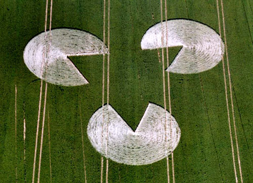 2005-06-23 Rockley Down, nr Marlborough, Wiltshire