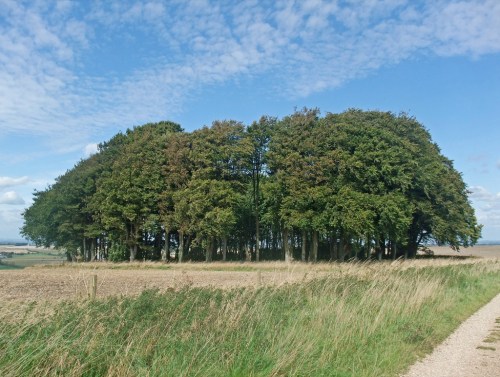 3870058026_5817dfda81_b