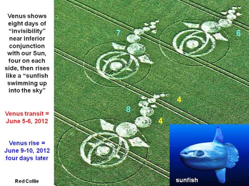 woodborough-sunfish1