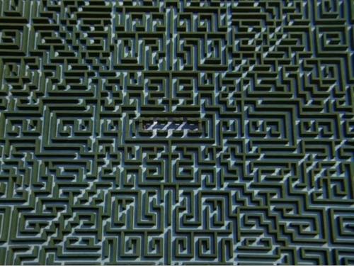 Twinsidesofhedgemaze