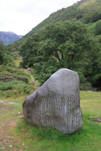 245832054_b594ad9fe4_b