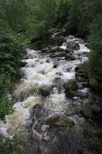 245973349_844ac1d35f_b