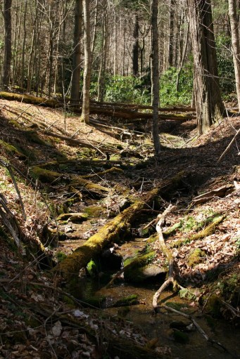 13933748862_8a4e835b7c_b