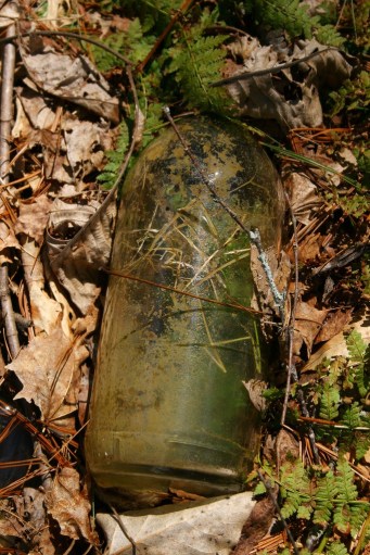 13933826251_984d6bbec6_b