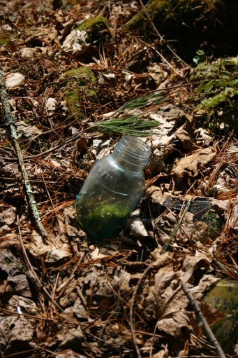 13933841621_aa20f998b2_b