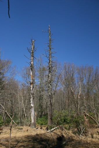 13933955582_5185e2f94c_b