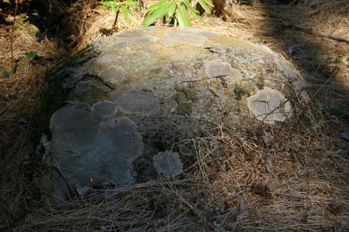 13933990351_1efaa77bfd_b