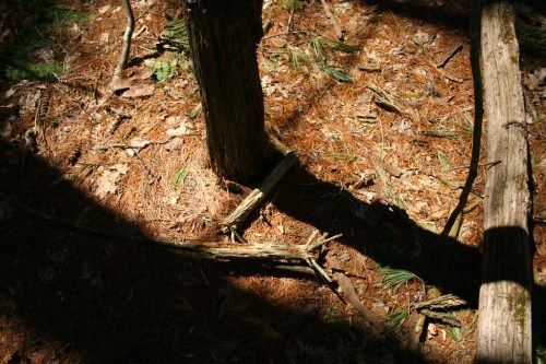 13934038692_314079577f_b-1