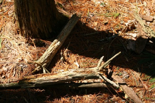 13934045001_19f08a3bc5_b