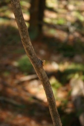 13934060721_234ffd185c_b