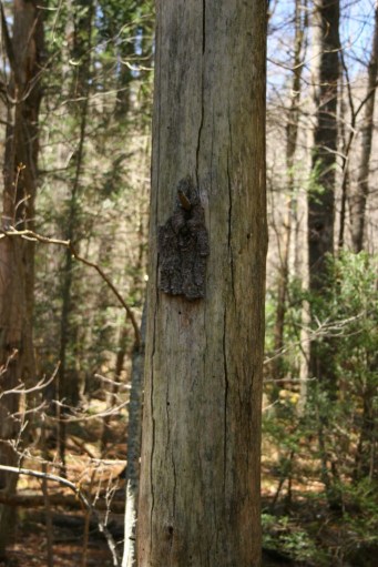 13957055213_af291dd517_b