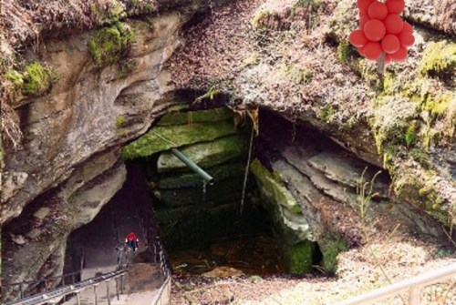 beehive_entrance03bigger02