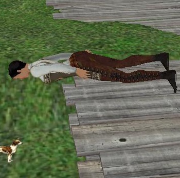 Snapshot1141_010excerpt