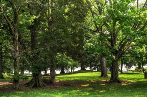 9138217381_9520703b32_k