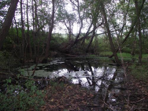 10703961_571137809678773_1550675438854123124_n