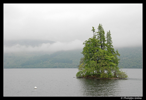 4706989511_ba735fb94c