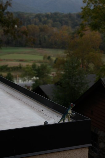 5867107690_9da25b3a7b_o