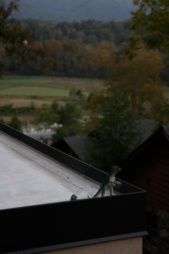 5867107690_f86fa20114_b