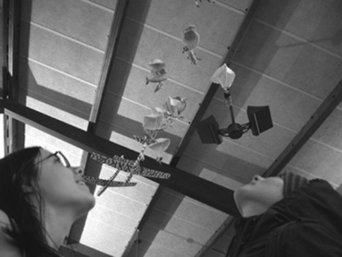 library-installation-jpeg