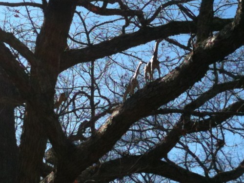 tumblr_luvnu2JMg81qloi6eo1_1280