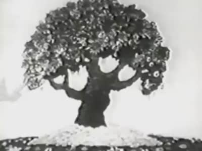 freakies-cereal-commercial-narrated-by-burgess-meredith_std.original