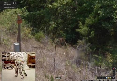 12208570_10207873074773784_8364383694492311834_n