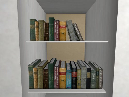 Snapshot8111_009smaller