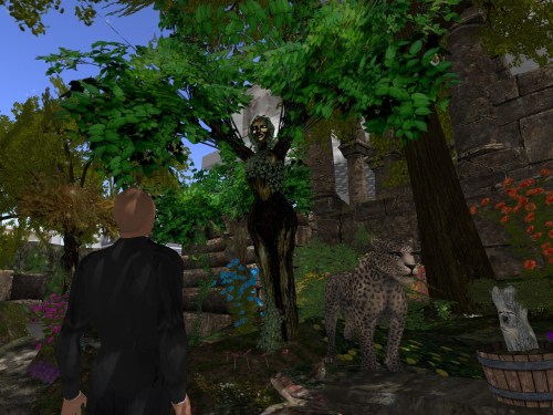 Snapshot8111_132smaller