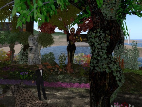 Snapshot8111_135smaller