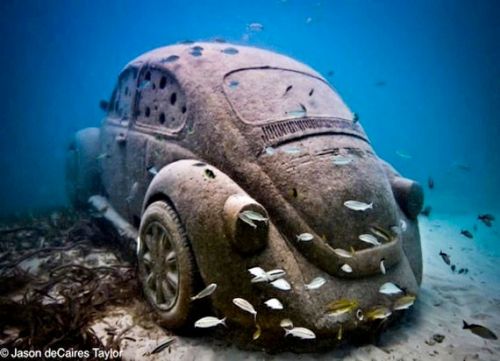 183c65b0253326e99f43b8a75ce60c5f